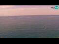 Webcam Piran
