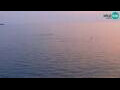 Webcam Piran