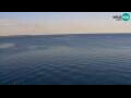 Webcam Piran