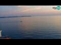 Webcam Piran