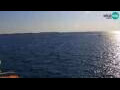Webcam Piran