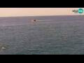 Webcam Piran