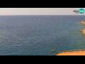 Webcam Piran