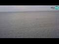 Webcam Piran
