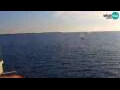 Webcam Piran