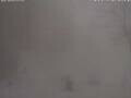 Webcam Bad Bayersoien