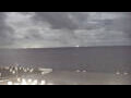 Webcam Büsum