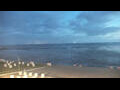 Webcam Büsum
