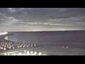 Webcam Büsum