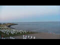 Webcam Büsum
