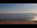 Webcam Büsum