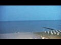 Webcam Büsum