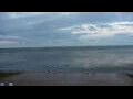 Webcam Büsum