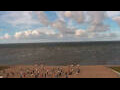 Webcam Büsum