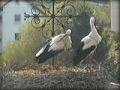 Webcam Otterwisch