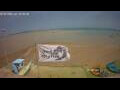 Webcam Soma Bay