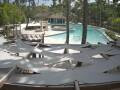 Webcam Punta Cana