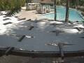 Webcam Punta Cana
