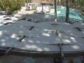 Webcam Punta Cana