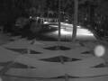 Webcam Punta Cana