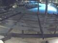 Webcam Punta Cana