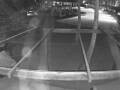 Webcam Punta Cana