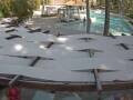 Webcam Punta Cana