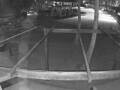 Webcam Punta Cana