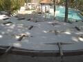 Webcam Punta Cana