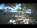 Webcam Cabarete