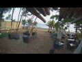 Webcam Cabarete