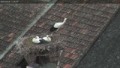 Webcam Rust (Burgenland)