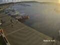Webcam Méduline