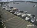 Webcam Méduline