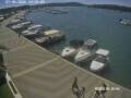 Webcam Méduline