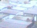 Webcam Lungern