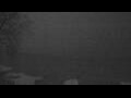 Webcam Webster, New York