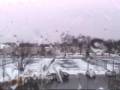 Webcam Springfield, Illinois