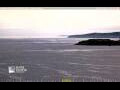 Webcam Halifax