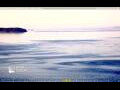 Webcam Halifax