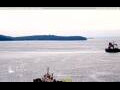 Webcam Halifax