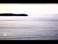 Webcam Halifax