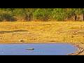Webcam Kruger National Park