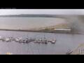 Webcam Tallinn