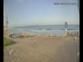Webcam Sdot Jam