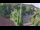 Webcam in Badenweiler, 10 km