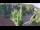 Webcam in Badenweiler, 11.5 km entfernt