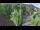Webcam in Badenweiler, 3.5 km entfernt
