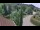 Webcam in Badenweiler, 0 km