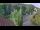 Webcam in Badenweiler, 30.8 km